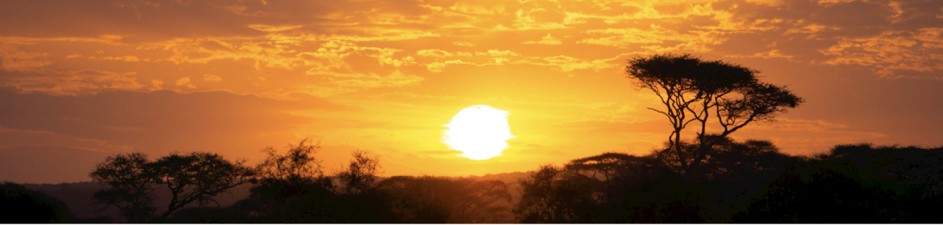 kenya coucher du soleil savane
