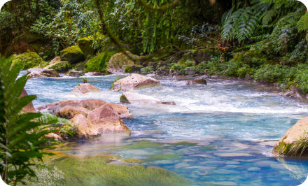 rivière au Costa Rica