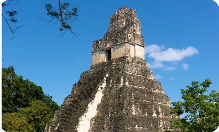Tikal site archéologique Tikal
