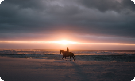 balade à cheval sur une plage