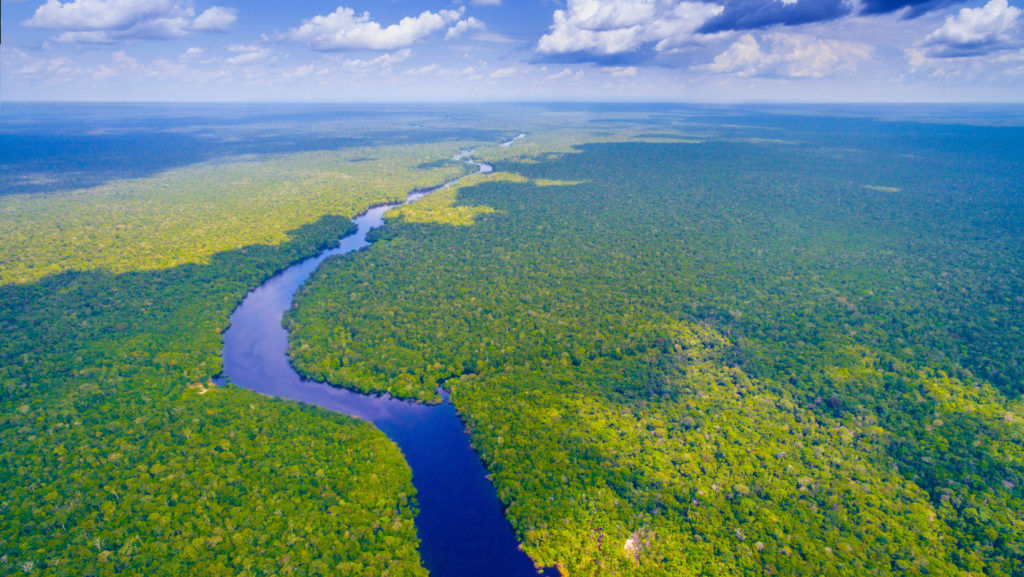 foret amazonienne vue d'en haut