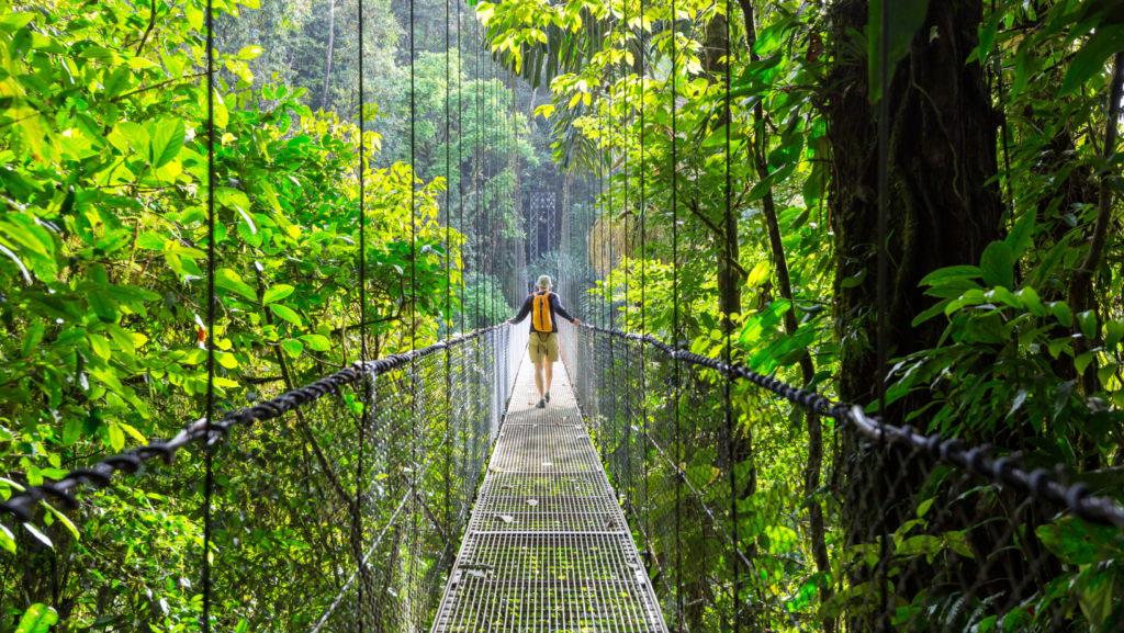 pont dans la forêt au Costa Rica