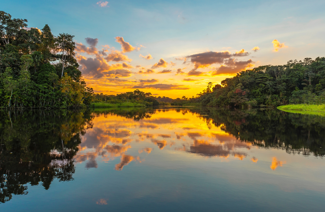 rivière en Amazonie avec un coucher de soleil