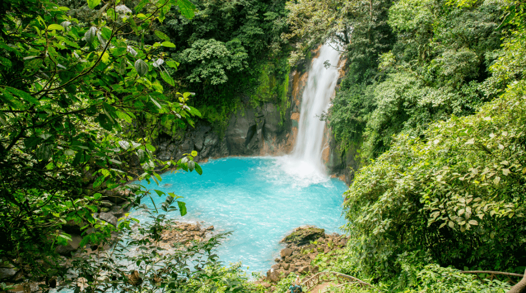 cascade d'eau dans la jungle Costa Rica