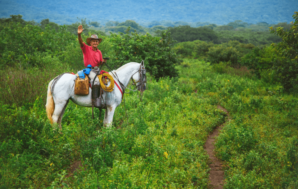 local à cheval Costa Rica
