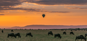 montgolfière dans la savane avec des gnous