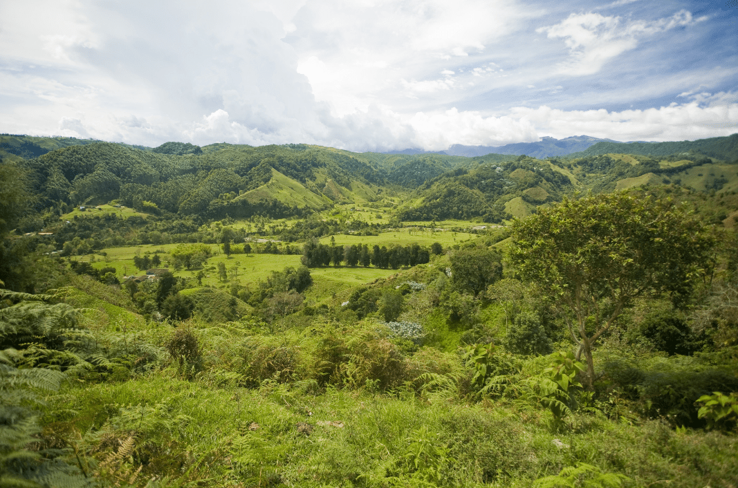 montagnes de la région de Salento en Colombie