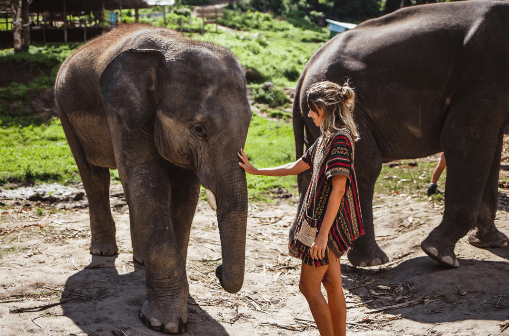 femme qui caresse un éléphant en Thaïlande