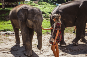 femme qui caresse un éléphant en Thaïlande