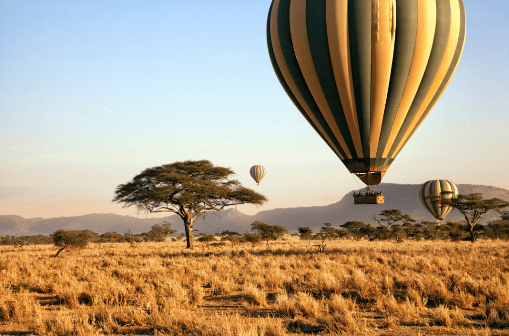 Tanzanie savane