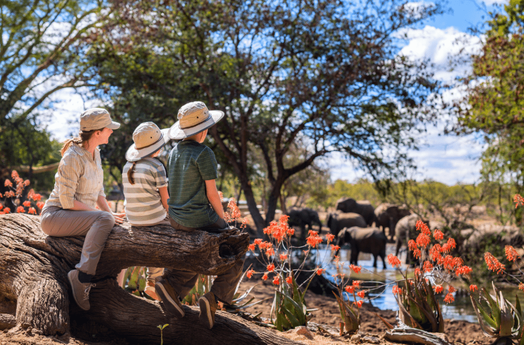 safari en famille Afrique