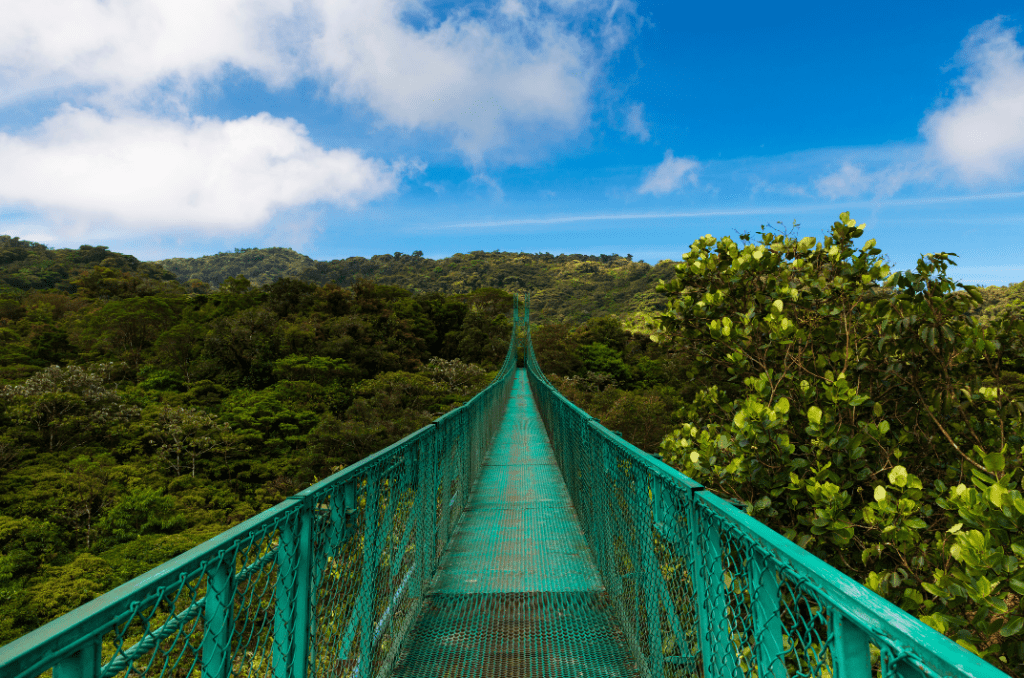 pont suspendu Monteverde, que voir au Costa Rica